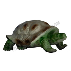 Eleven Turtle